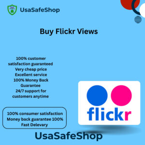 Buy Flickr Views